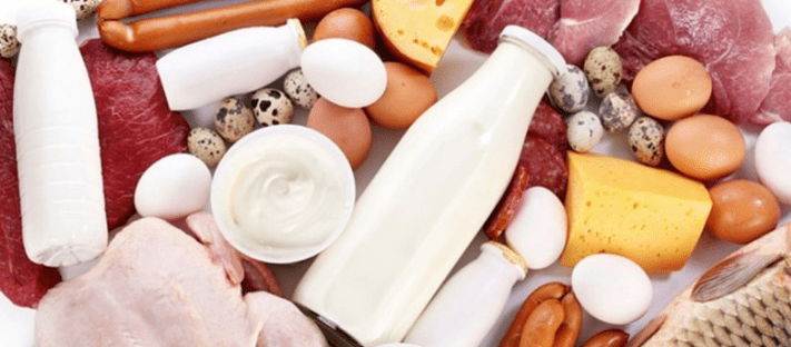 Heranesch Protein Diät